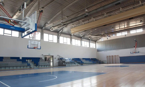 אולמות ספורט - רולן