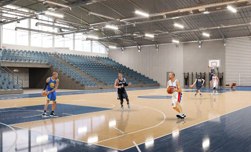 הקמת אולמות ספורט